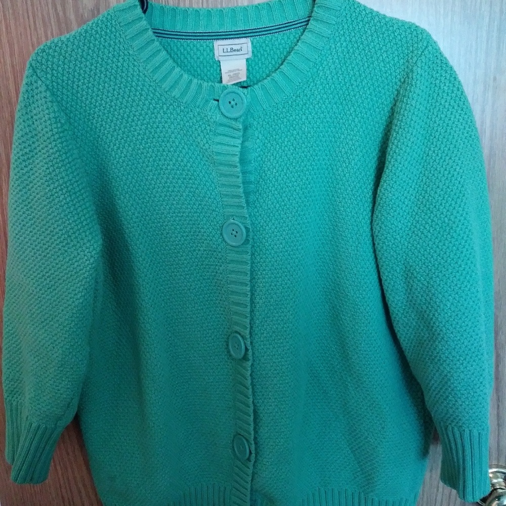 LL Bean sweater